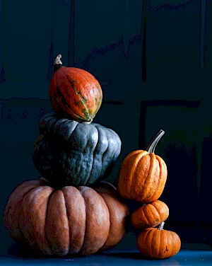 Photograph of still life of pumpkins for Sainsbury's Magazine feature