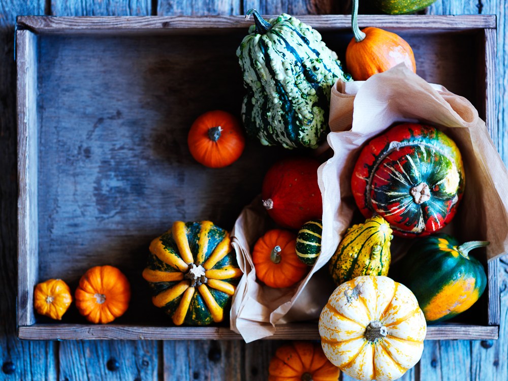 Photograph of a tray of pumpkins for Sainsbury