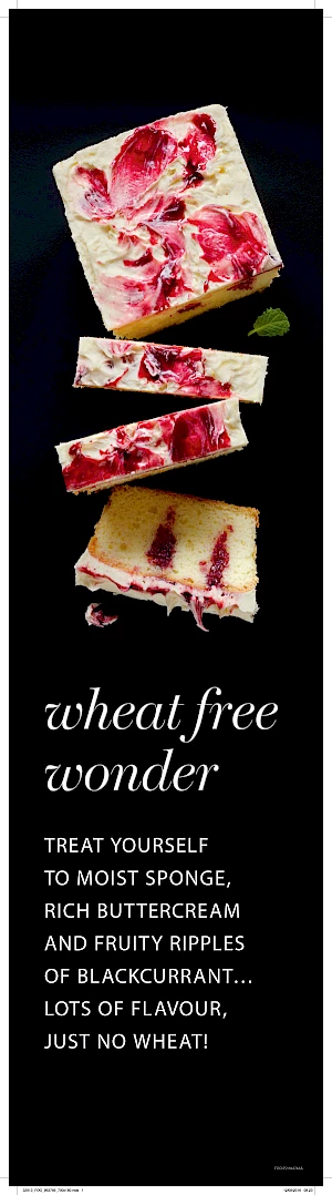 Photograph of Wheat Free Wonders Sponge Dessert