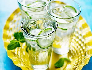 Photograph of Mint Cucumber Gin