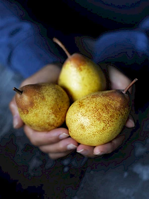 M&S Pears hand holding