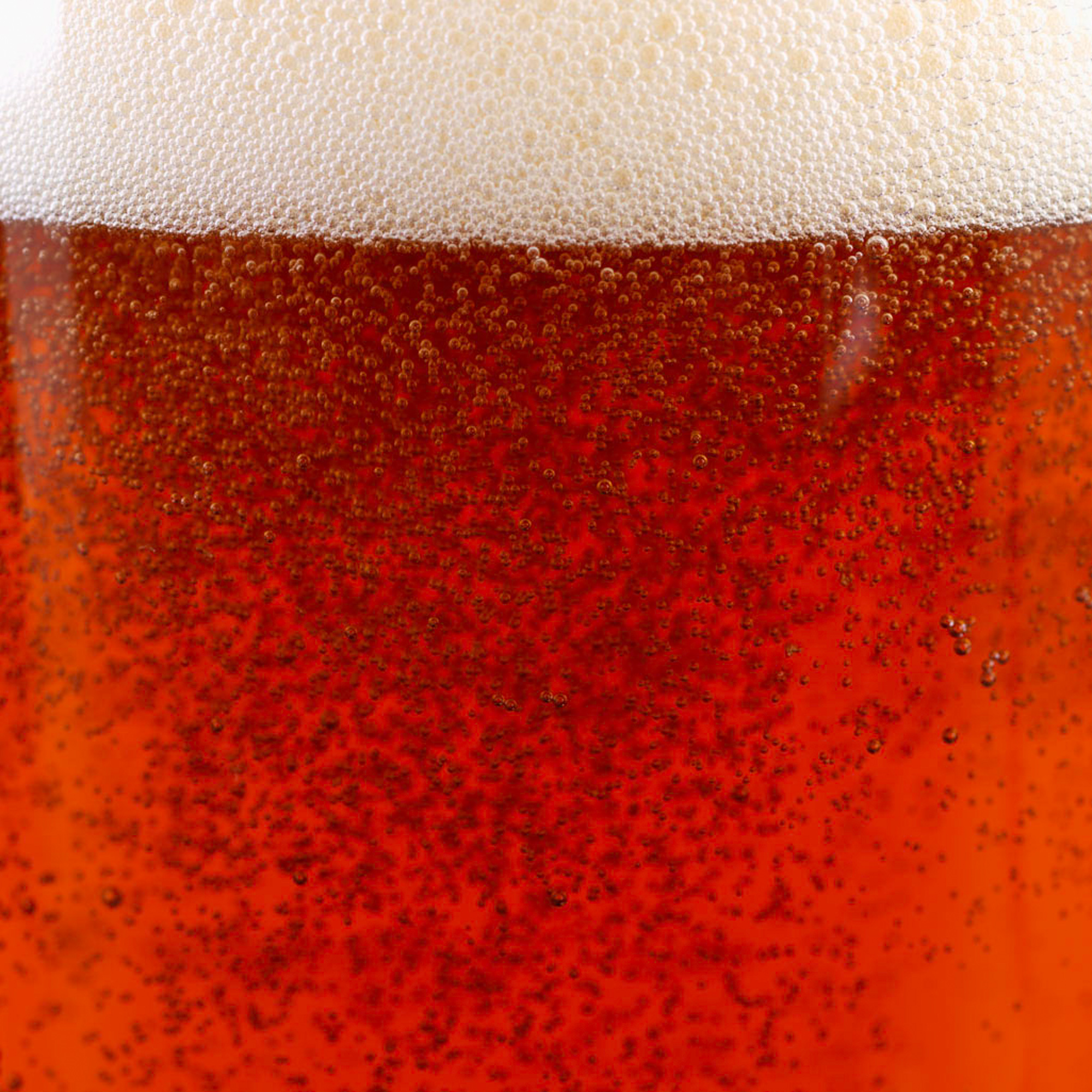 Close up of Ale Bubbles in Glass