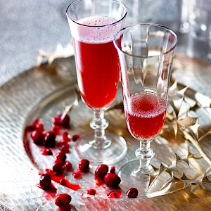 Cranberry Pomegranate Sparkling Christmas Cocktail